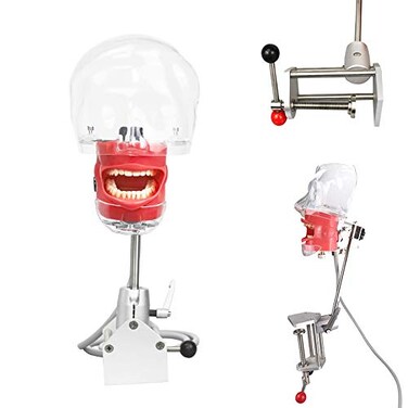 Aries Outlets Dental Simulator Manikin Phantom Head Teeth Model Training Bench Mount Fix on Desk