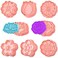 Sakolla 8 Pack Flower Cookie Cutters 3D Cookie Cutter with Plunger Stamp 8 Styles Spring Flowers Cookie Stamps for Home Kitchen