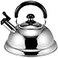 BAKER DEPOT Quickone Takei EnergySaving Fuefuki Whistle Kettle 25 L Silver
