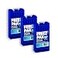 DOLZO Freez Pak 3 Pack Reusable Ice Packs Small