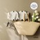Umbra Picket WallMounted Coat Rack Rail Hook with 5 Retractable Wood Pegs Modern SpaceSaving Storage Organizer White