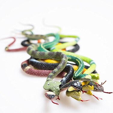 Rhode Island Novelty 12 Rain Forest Snakes 14