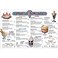 Remedia Publications REM101D Menu Math Old Fashioned Ice Cream Parlor 6 Extra Menus 024 Height 835 Wide 111 Length 6 per Package