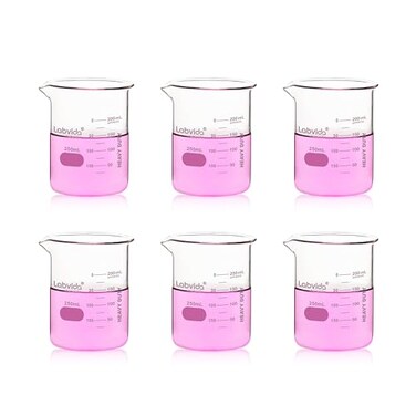 Labvida 6pcs 250ml Upgrated Thick Glass Beakers Griffin Low Form Beaker Set with Double Scale 33 Boro LVA010