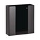 AdirMed VivaEssentials Double Glove Box Holder Wall Mount or Free Standing Black Acrylic Glove Holder