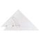 Pacific Arc Professional Adjustable Triangle Clear With Inking Edge 10