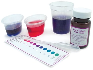 Educational Innovations Red Cabbage Extract