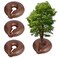 Tezhile TezhiIe 3 Pack 15 Gallon Tree Watering Ring Bag PVC Drip Irrigation Water Pouch Automatic Drip System Watering Donuts for Trees Deep Root LowProfile Slow Release Watering Bag