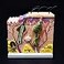 XINDAM Skin Model 50X Enlarged Anatomical Model Anatomy for Science Classroom Study Display Teaching Medical Model