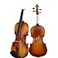 D Z Strad viola Model 101 with Strings Case Bow Shoulder Rest and Rosin 14 Size