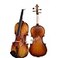 D Z Strad Violin Model 100 with Solid Wood Size 14 with Case Bow and Rosin