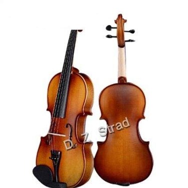 D Z Strad Violin Model 100 with Solid Wood Size 14 with Case Bow and Rosin