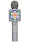 Wireless Express SingAlong Bling Bluetooth Karaoke Microphone and Bluetooth Stereo Speaker AllinOne Silver Bling