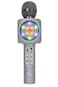 Wireless Express SingAlong Bling Bluetooth Karaoke Microphone and Bluetooth Stereo Speaker AllinOne Silver Bling
