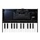 Roland K25M Boutique Module Dock USB MIDI Keyboard 12 inch K25M