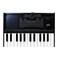 Roland K25M Boutique Module Dock USB MIDI Keyboard 12 inch K25M