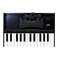 Roland K25M Boutique Module Dock USB MIDI Keyboard 12 inch K25M