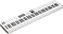 Arturia KeyLab Essential 88 mk3 88 key USB MIDI Controller Keyboard with Analog Lab V Software Included White