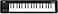 Korg Keyboard Amplifier 37Key MICROKEY237Black
