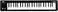 Korg Keyboard Amplifier 49Key MICROKEY249Black