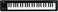 Korg Keyboard Amplifier 49Key MICROKEY249Black