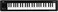 Korg Keyboard Amplifier 49Key MICROKEY249Black