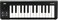 Korg microKEY 25 USB MIDI Keyboard
