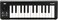 Korg microKEY 25 USB MIDI Keyboard