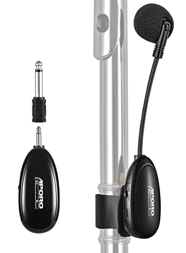jcwy Jcwy Wireless Flute Microphone wireless