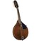 Kentucky 8String Mandolin Transparent Brown KM276