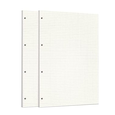 Zelten 2 Pack A4 90 Sheets180 Pages Squared Loose Leaf Punched Paper Refills Paper for 4 Hole Binder Personal Organizer Diary Notebook Refillable Planner