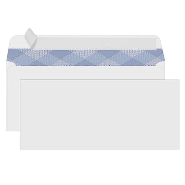 PANDRI 10 Security SelfSeal Envelopes Windowless Business Mailing Envelopes Security Tint Pattern for Secure Mailing Invoices and Statements Size 418 x 912 Inch 24 LB 500 Count