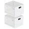 SANIDIKA 2 Pack Large Refrigerator Lockable Box Childproof First Aid Locking Box Pill Case Medical Organizer Ipad Tablet Phone Jail