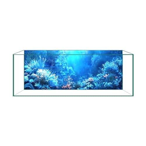 cickseed Cickseed Aquarium Background Fish Tank Background