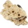 Tunze 0104800 Coral Rack Nano