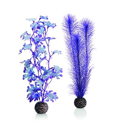 BiOrb 460800 Kelp Set Medium Purple Aquariums