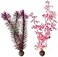 BiOrb 460820 Kelp Set Medium Pink Aquariums