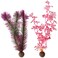 BiOrb 460820 Kelp Set Medium Pink Aquariums