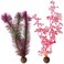 BiOrb 460820 Kelp Set Medium Pink Aquariums
