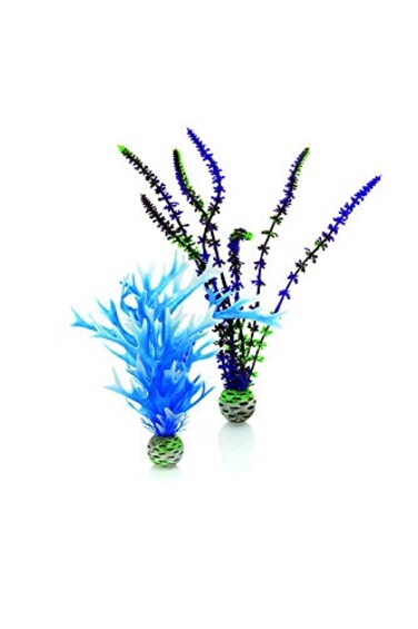 biOrb BluePurple Plant Pack Medium