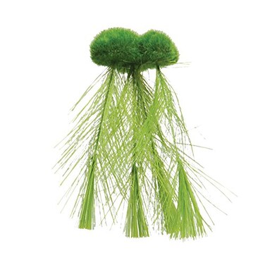 Underwater Treasures Floating Moss with Feather Roots Small
