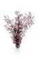 biOrb Sea Fan Large Crimson