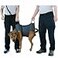 Rescue Essentials QuikLitter K9 Emergency Transport StretcherLitter Large