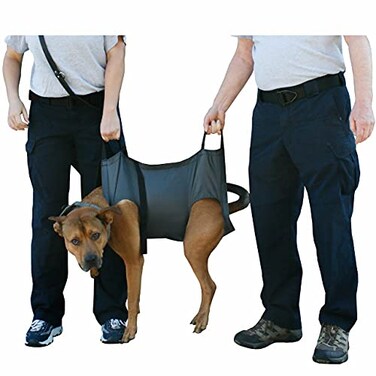 Rescue Essentials QuikLitter K9 Emergency Transport StretcherLitter Large