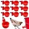 UCandy Pack 10 Chicken Waterer Cups Chicken Feeder Cup for Chicken Duck Turkey Rabbit38 Inch Thread Automatic FillingSolution for Poultry Watering