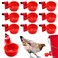 UCandy Pack 10 Chicken Waterer Cups Chicken Feeder Cup for Chicken Duck Turkey Rabbit38 Inch Thread Automatic FillingSolution for Poultry Watering