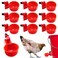 UCandy Pack 10 Chicken Waterer Cups Chicken Feeder Cup for Chicken Duck Turkey Rabbit38 Inch Thread Automatic FillingSolution for Poultry Watering