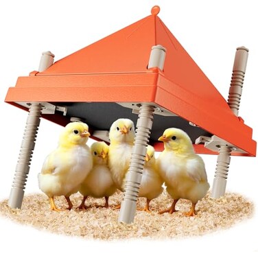JXJHOVV Chick Brooder Heating Plate 10 x 10 with AntiRoosting Cone Stepless Adjustable Height for Up to 15 Chicks Energy Efficient Mother Hen Brooder for Poultry