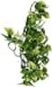 Exo Terra Plastic Terrarium Plant Medium Amapallo