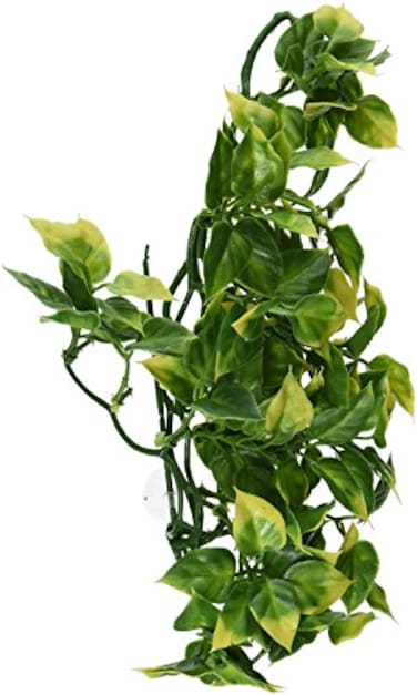 Exo Terra Plastic Terrarium Plant Medium Amapallo